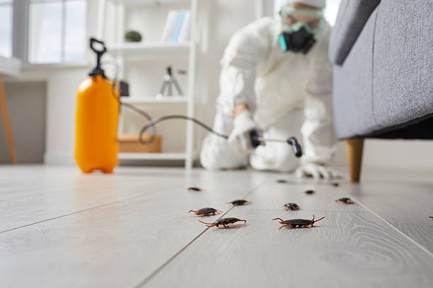 Commercial Kitchen Cockroach Control in Panthersville